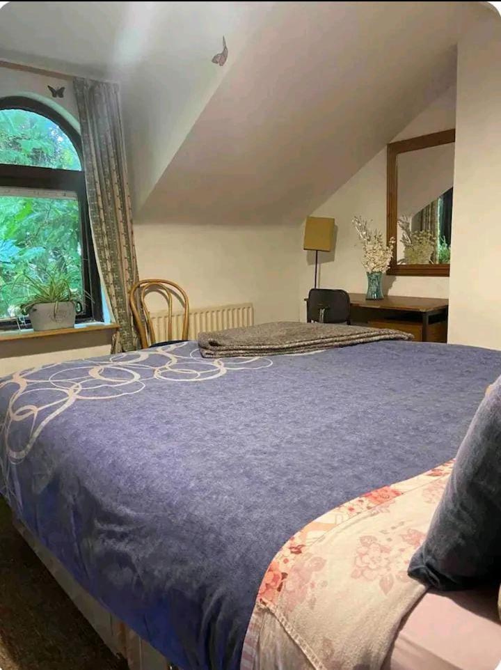 Castleton Apartment Belfast Bagian luar foto