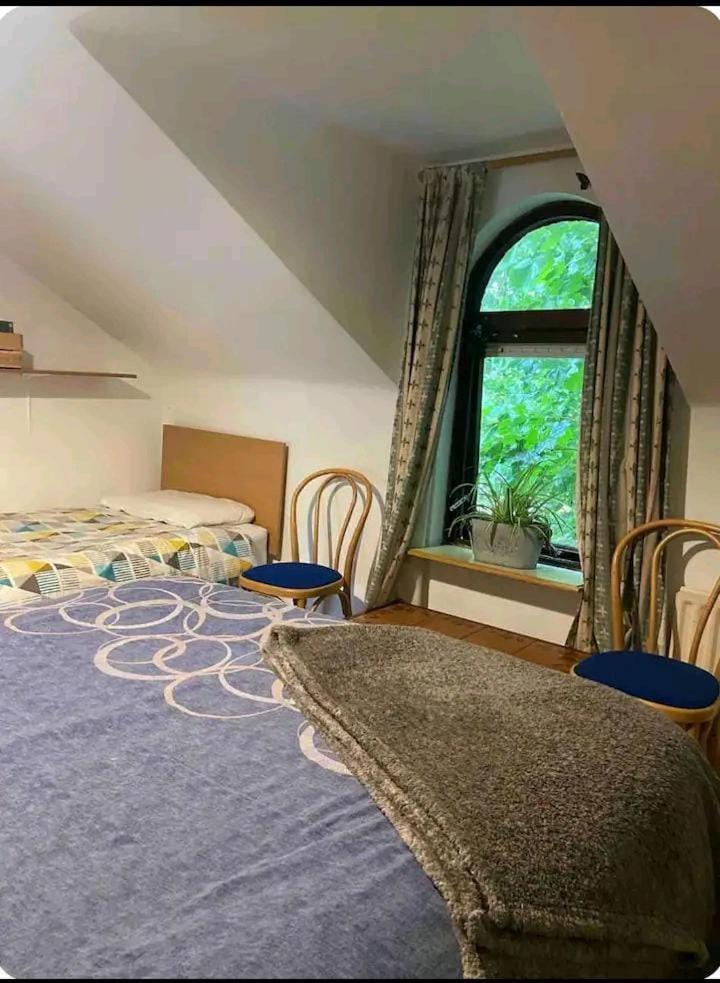 Castleton Apartment Belfast Bagian luar foto